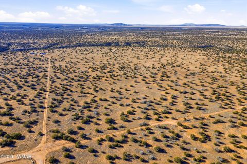 Tiny photo for SW4 NW4 Section 4 T14N R16E, Heber, AZ 85928 (MLS # 259235)