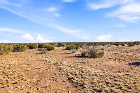 Tiny photo for SW4 NW4 Section 4 T14N R16E, Heber, AZ 85928 (MLS # 259235)