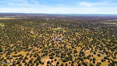 Tiny photo for 2447 Zaidee Road, Show Low, AZ 85901 (MLS # 263161)