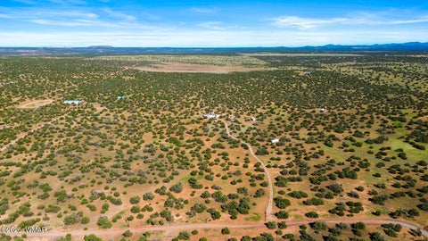 Tiny photo for 2447 Zaidee Road, Show Low, AZ 85901 (MLS # 263161)