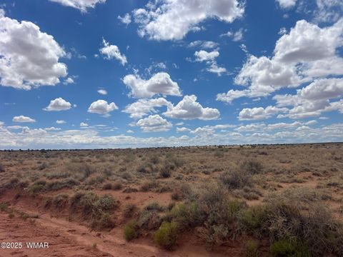 Photo of 8358 Terry Trail, Snowflake, AZ 85937 (MLS # 257291)