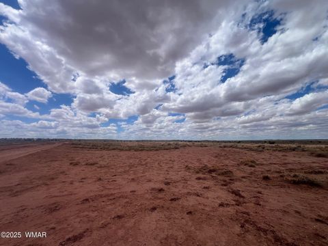 Tiny photo for 8358 Terry Trail, Snowflake, AZ 85937 (MLS # 257291)