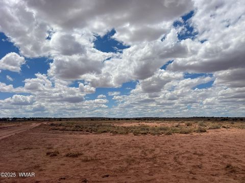 Tiny photo for 8358 Terry Trail, Snowflake, AZ 85937 (MLS # 257291)