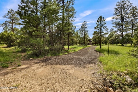 Tiny photo for 2970 Pine Rim Road, Overgaard, AZ 85933 (MLS # 262734)