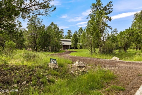Tiny photo for 2970 Pine Rim Road, Overgaard, AZ 85933 (MLS # 262734)