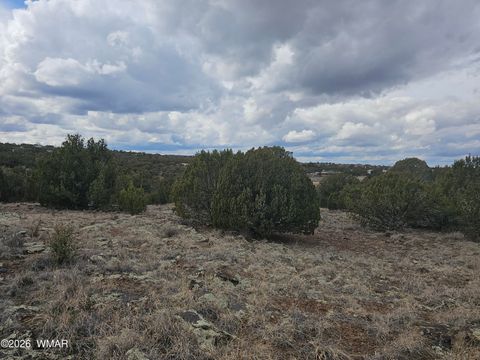 Tiny photo for 1903 Ponce Place, Show Low, AZ 85901 (MLS # 259517)