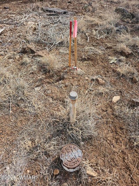 Tiny photo for 1903 Ponce Place, Show Low, AZ 85901 (MLS # 259517)