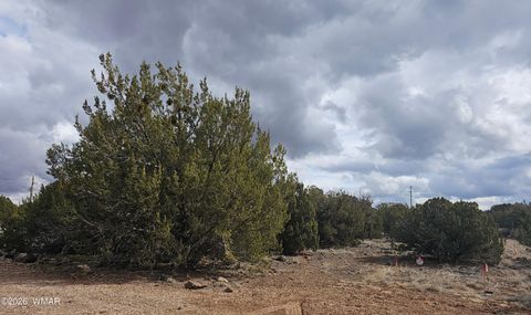 Tiny photo for 1903 Ponce Place, Show Low, AZ 85901 (MLS # 259517)