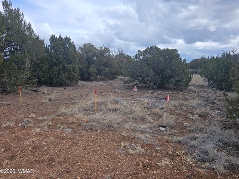 Tiny photo for 1903 Ponce Place, Show Low, AZ 85901 (MLS # 259517)