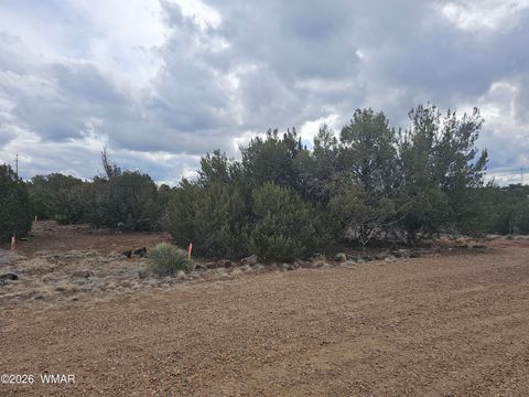 Tiny photo for 1903 Ponce Place, Show Low, AZ 85901 (MLS # 259517)