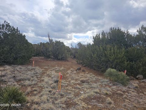 Tiny photo for 1903 Ponce Place, Show Low, AZ 85901 (MLS # 259517)