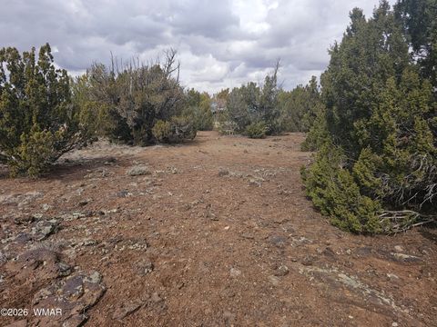 Tiny photo for 1903 Ponce Place, Show Low, AZ 85901 (MLS # 259517)
