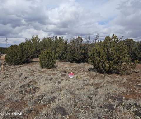 Tiny photo for 1903 Ponce Place, Show Low, AZ 85901 (MLS # 259517)