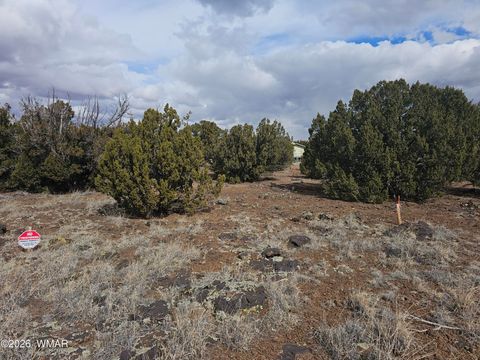 Tiny photo for 1903 Ponce Place, Show Low, AZ 85901 (MLS # 259517)
