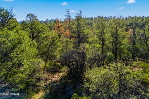 Tiny photo for 1920 S Pleasantview Dr, Show Low, AZ 85901 (MLS # 260888)