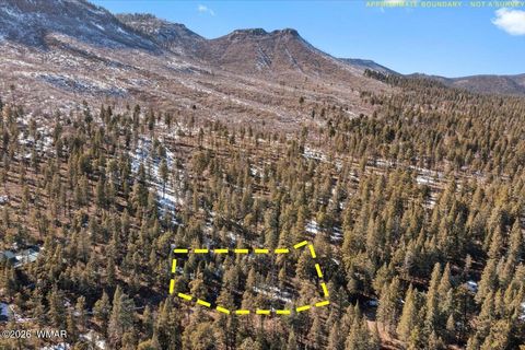 Tiny photo for 9 County Rd 2073, Alpine, AZ 85920 (MLS # 259433)