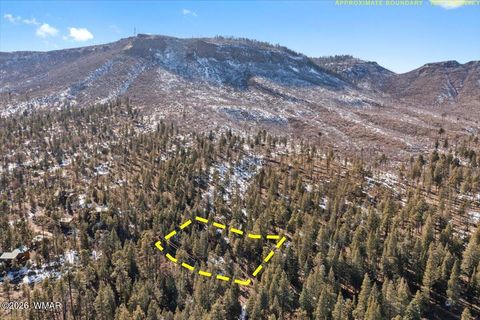 Tiny photo for 9 County Rd 2073, Alpine, AZ 85920 (MLS # 259433)