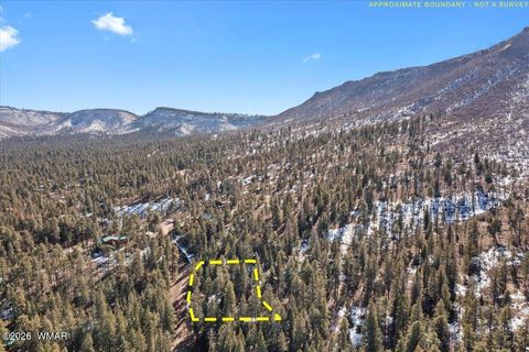 Tiny photo for 9 County Rd 2073, Alpine, AZ 85920 (MLS # 259433)