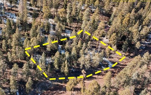 Photo of 9 County Rd 2073, Alpine, AZ 85920 (MLS # 259433)