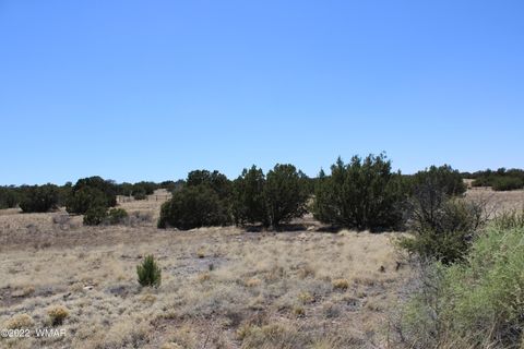 Tiny photo for 2500 Rock View Drive, Show Low, AZ 85901 (MLS # 241550)