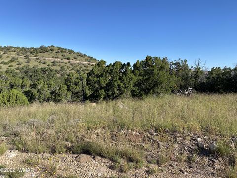 Tiny photo for 00 N4078, Springerville, AZ 85938 (MLS # 243141)