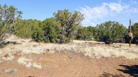 Tiny photo for 1799 Scott Place, Show Low, AZ 85901 (MLS # 256482)