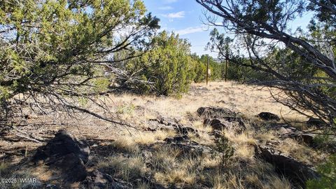 Tiny photo for 1799 Scott Place, Show Low, AZ 85901 (MLS # 256482)