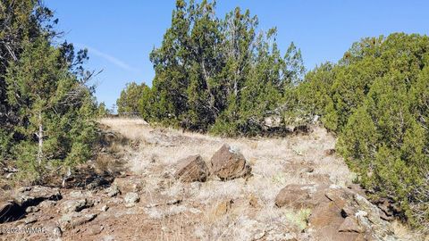 Tiny photo for 1799 Scott Place, Show Low, AZ 85901 (MLS # 256482)