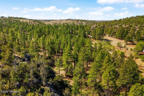 Tiny photo for 3307 Black Canyon Road Rd, Heber, AZ 85928 (MLS # 256187)
