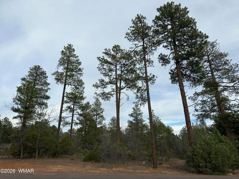 Tiny photo for 5961 Starlight Ridge Road, Lakeside, AZ 85929 (MLS # 260187)