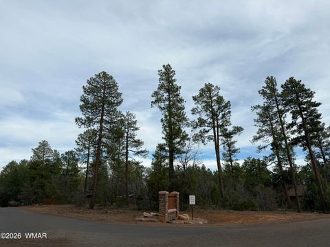 Tiny photo for 5961 Starlight Ridge Road, Lakeside, AZ 85929 (MLS # 260187)