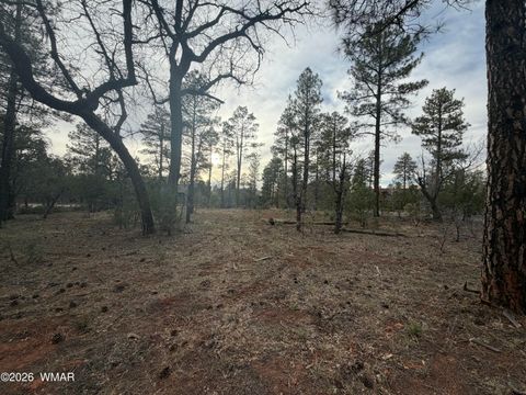 Tiny photo for 5961 Starlight Ridge Road, Lakeside, AZ 85929 (MLS # 260187)