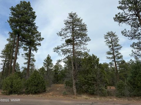 Tiny photo for 5961 Starlight Ridge Road, Lakeside, AZ 85929 (MLS # 260187)