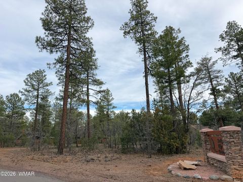Tiny photo for 5961 Starlight Ridge Road, Lakeside, AZ 85929 (MLS # 260187)
