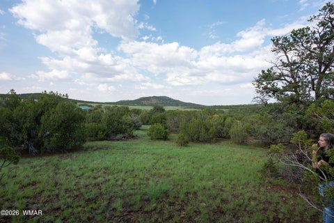 Photo of 6 County Road 3195, Vernon, AZ 85940 (MLS # 262896)