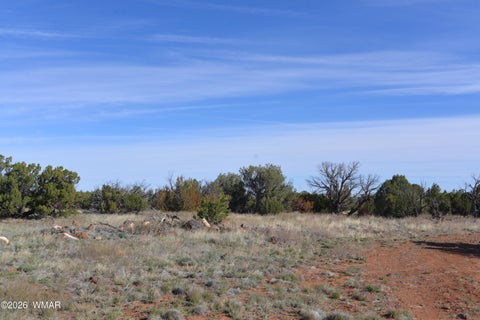 Tiny photo for 4450 S Freedom Circle, Taylor, AZ 85939 (MLS # 260678)
