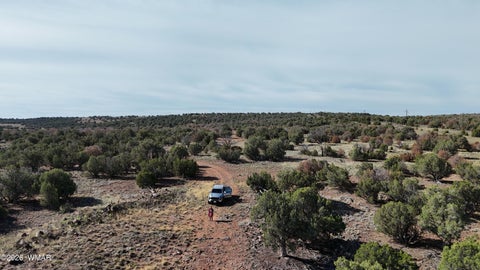 Tiny photo for 4450 S Freedom Circle, Taylor, AZ 85939 (MLS # 260678)