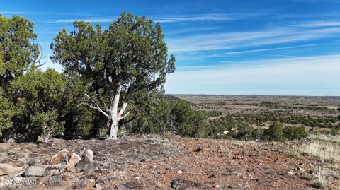 Photo of 4450 S Freedom Circle, Taylor, AZ 85939 (MLS # 260678)