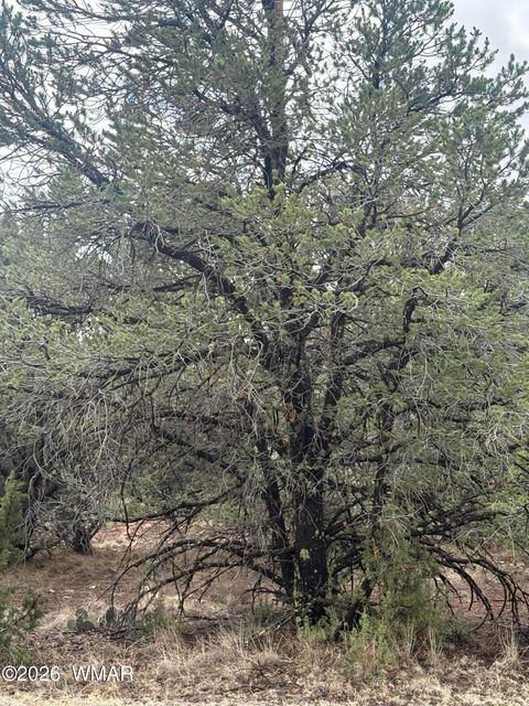 Photo of 33 N3317, Vernon, AZ 85940 (MLS # 260536)