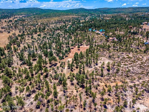 Tiny photo for 859 White Mountain Drive, Show Low, AZ 85901 (MLS # 261886)