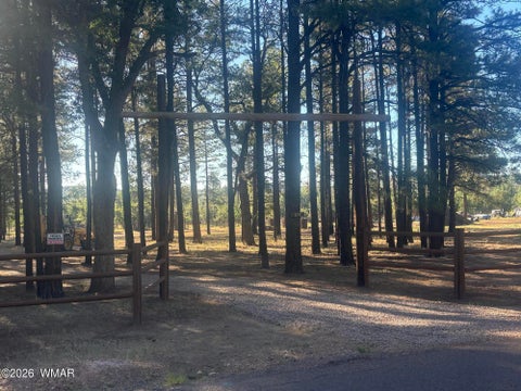 Tiny photo for 859 White Mountain Drive, Show Low, AZ 85901 (MLS # 261886)