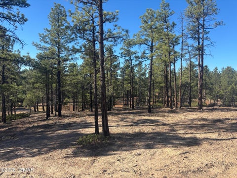 Tiny photo for 859 White Mountain Drive, Show Low, AZ 85901 (MLS # 261886)