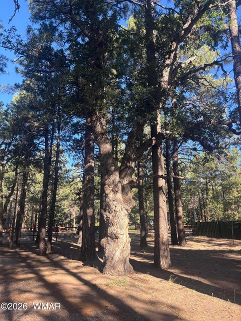 Tiny photo for 859 White Mountain Drive, Show Low, AZ 85901 (MLS # 261886)