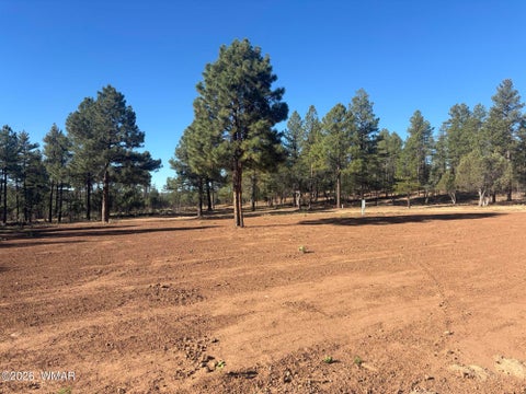 Tiny photo for 859 White Mountain Drive, Show Low, AZ 85901 (MLS # 261886)