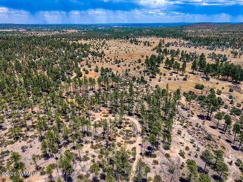 Tiny photo for 859 White Mountain Drive, Show Low, AZ 85901 (MLS # 261886)