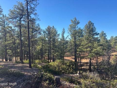 Tiny photo for 859 White Mountain Drive, Show Low, AZ 85901 (MLS # 261886)