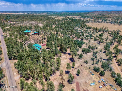 Photo of 859 White Mountain Drive, Show Low, AZ 85901 (MLS # 261886)