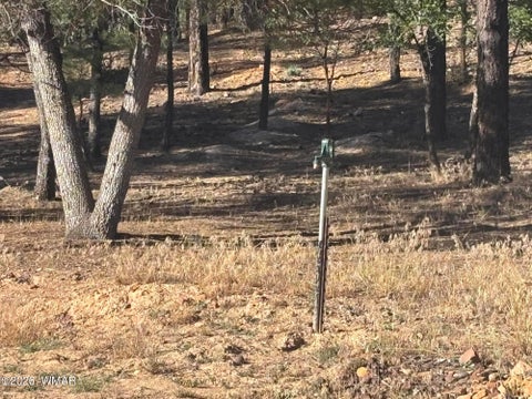 Tiny photo for 859 White Mountain Drive, Show Low, AZ 85901 (MLS # 261886)