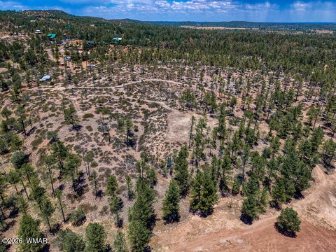 Tiny photo for 859 White Mountain Drive, Show Low, AZ 85901 (MLS # 261886)