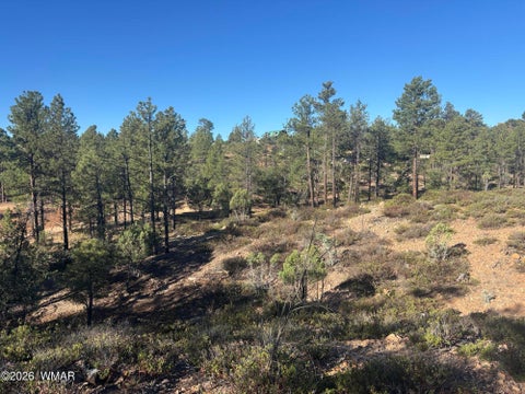 Tiny photo for 859 White Mountain Drive, Show Low, AZ 85901 (MLS # 261886)
